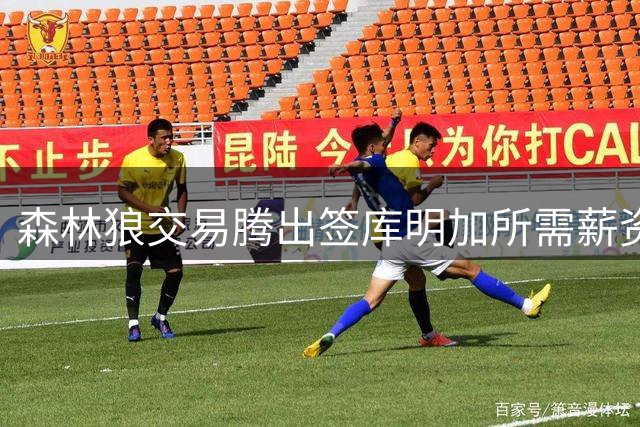森林狼交易腾出签库明加所需薪资空间
