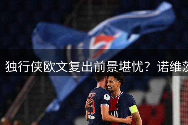 独行侠欧文复出前景堪忧？诺维茨基与东契奇谁更适配球队体系？